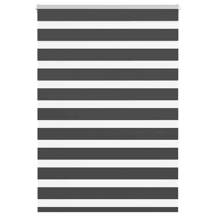 Vidaxl Zebra Rouleau aveugle 100x150 cm Largeur de poussière 95,9 cm noir