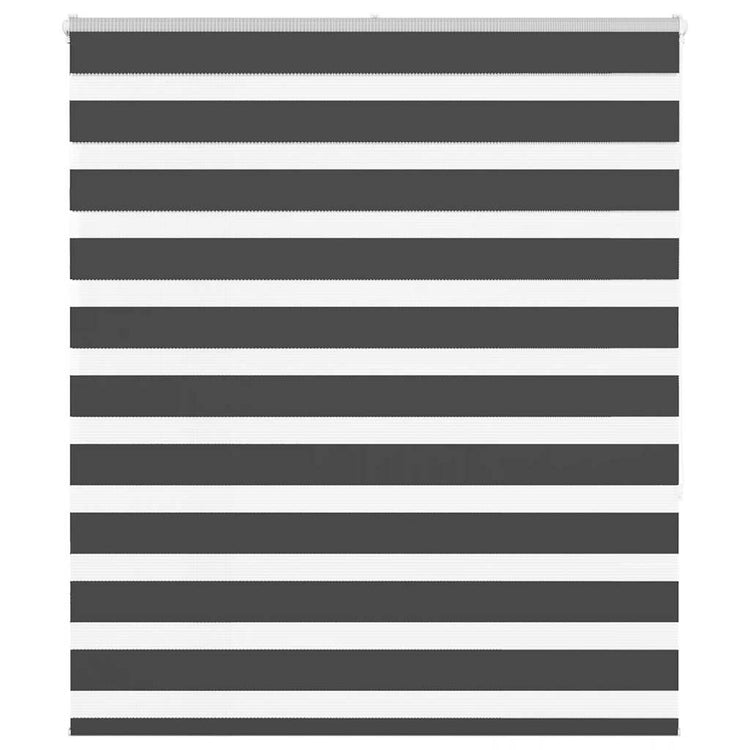 Vidaxl Zebra Rouleau aveugle 120x150 cm Largeur de tissu 115,9 cm noir