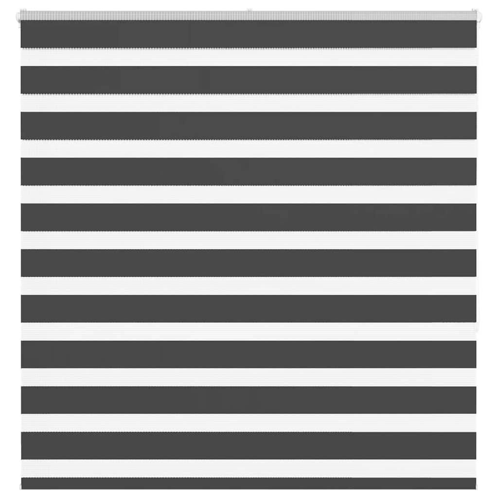 Vidaxl Zebra Rouleau aveugle 145x150 cm Largeur de poussière 140,9 cm noir