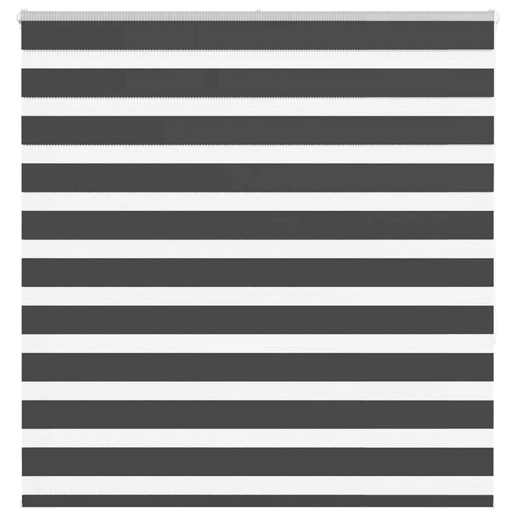 Vidaxl Zebra Rouleau aveugle 145x150 cm Largeur de poussière 140,9 cm noir