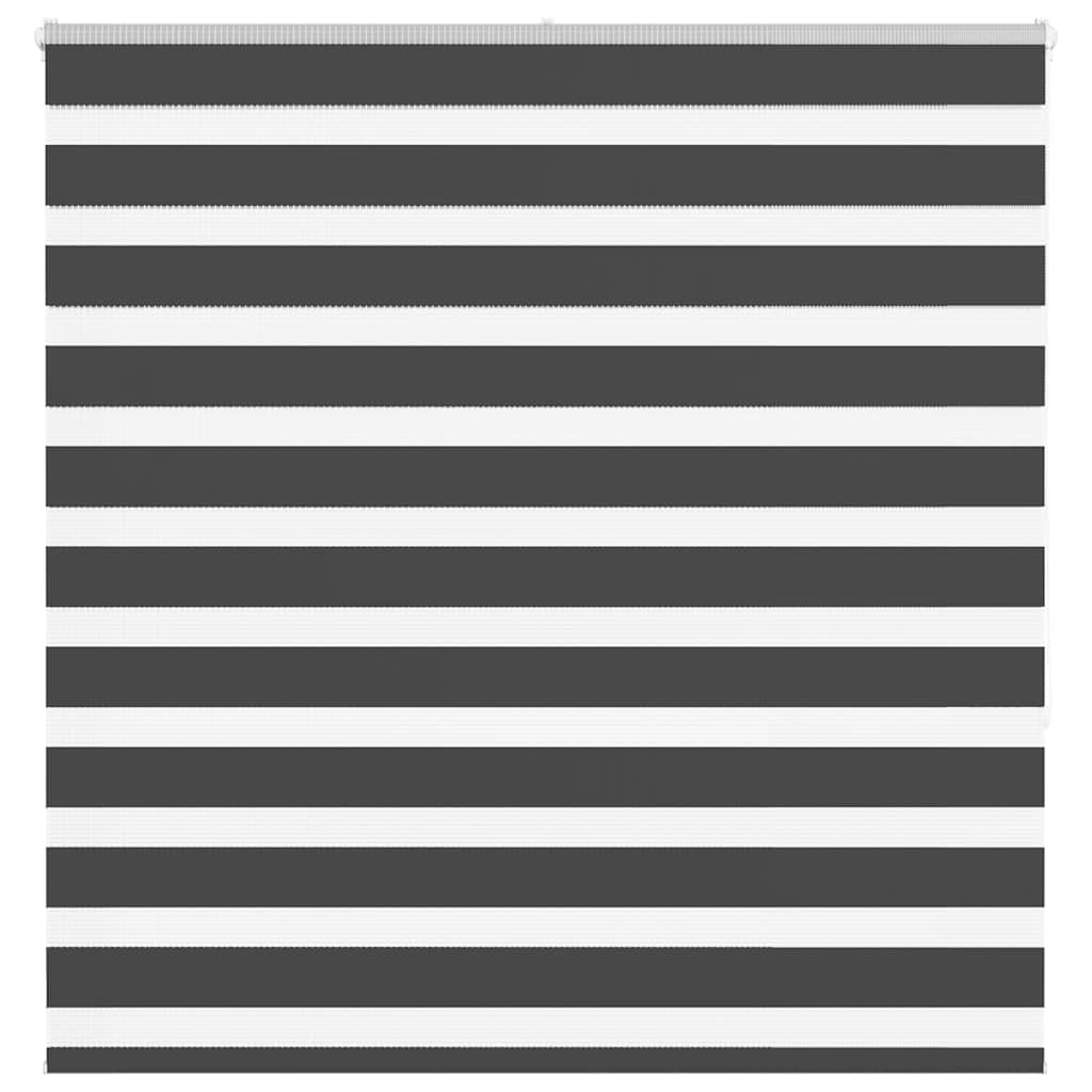Vidaxl Zebra Rouleau aveugle 150x150 cm Largeur de poussière 145,9 cm noir