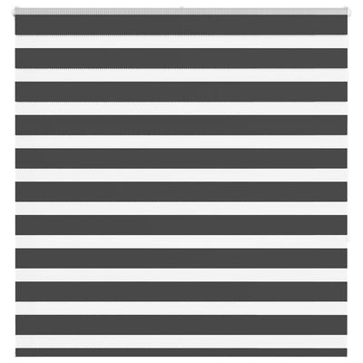 Vidaxl Zebra Rouleau aveugle 150x150 cm Largeur de poussière 145,9 cm noir