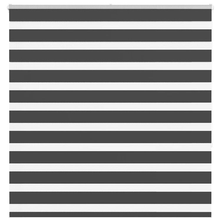 Vidaxl Zebra Rouleau aveugle 150x150 cm Largeur de poussière 145,9 cm noir