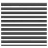 Vidaxl Zebra Rouleau aveugle 155x150 cm Largeur de poussière 150,9 cm noir