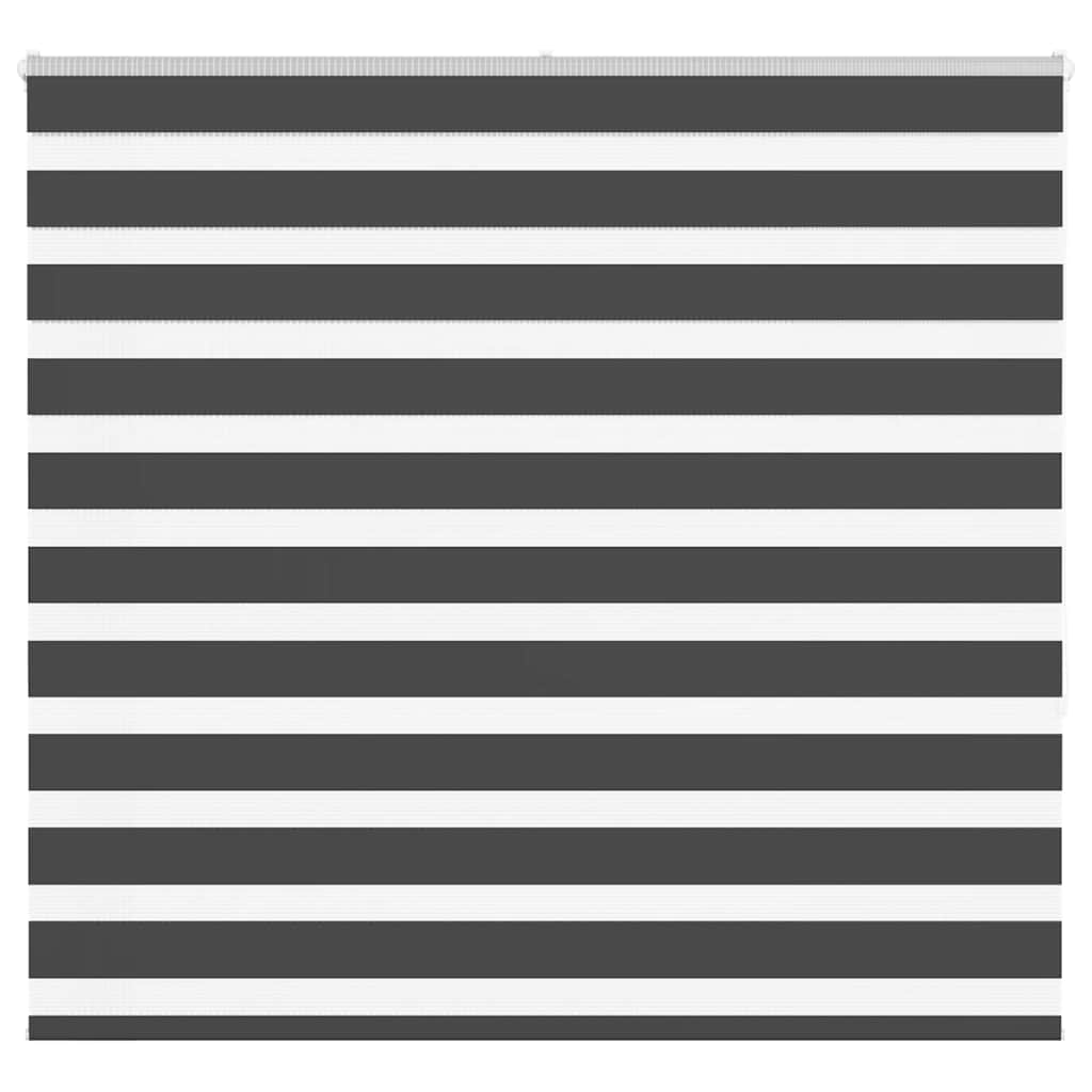 Vidaxl Zebra Rouleau aveugle 160x150 cm Largeur de poussière 155,9 cm noir