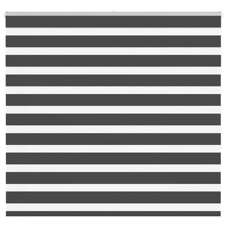 Vidaxl Zebra Rouleau aveugle 160x150 cm Largeur de poussière 155,9 cm noir