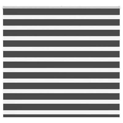 Vidaxl Zebra Rouleau aveugle 165x150 cm Largeur de poussière 160,9 cm noir