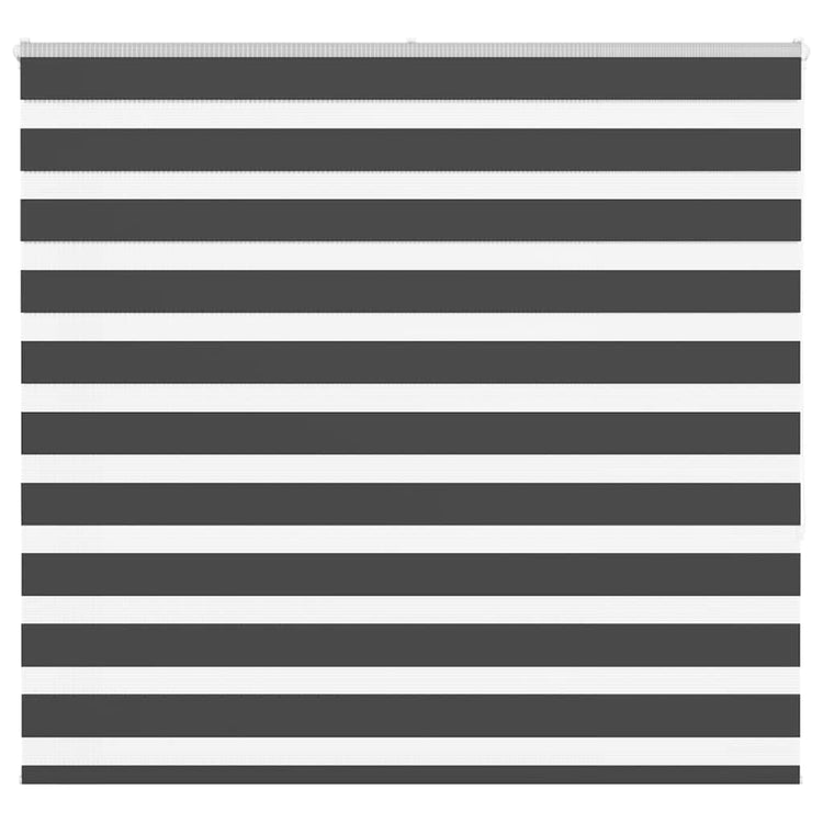 Vidaxl Zebra Rouleau aveugle 165x150 cm Largeur de poussière 160,9 cm noir