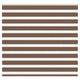 Vidaxl Zebra Rouleau aveugle 155x100 cm Largeur de poussière 150,9 cm Brun polyester