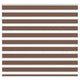 Vidaxl Zebra Rouleau aveugle 165x100 cm Largeur de poussière 160,9 cm Brown en polyester