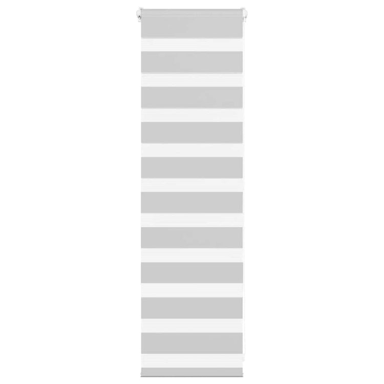 Vidaxl Zebra Rouleau aveugle 40x100 cm Largeur de poussière 35,9 cm gris clair
