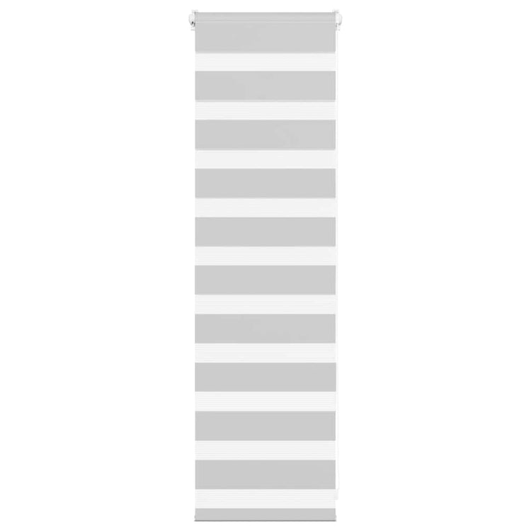 Vidaxl Zebra Rouleau aveugle 45x100 cm Largeur de poussière 40,9 cm Gris clair