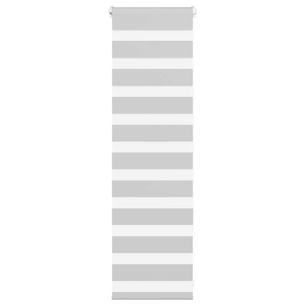 Vidaxl Zebra Rouleau aveugle 50x100 cm Largeur de tissu 45,9 cm gris clair