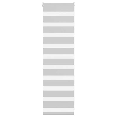 Vidaxl Zebra Rouleau aveugle 50x100 cm Largeur de tissu 45,9 cm gris clair