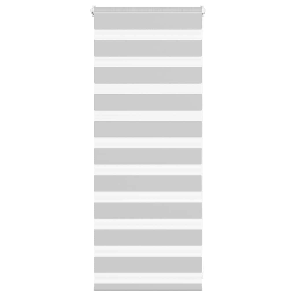 Vidaxl Zebra Rouleau aveugle 60x100 cm Largeur de poussière 55,9 cm gris clair