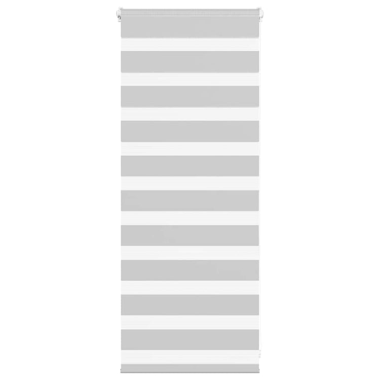 Vidaxl Zebra Rouleau aveugle 60x100 cm Largeur de poussière 55,9 cm gris clair