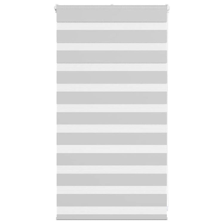 Vidaxl Zebra Rouleau aveugle 70x100 cm Largeur de poussière 65,9 cm Gris clair
