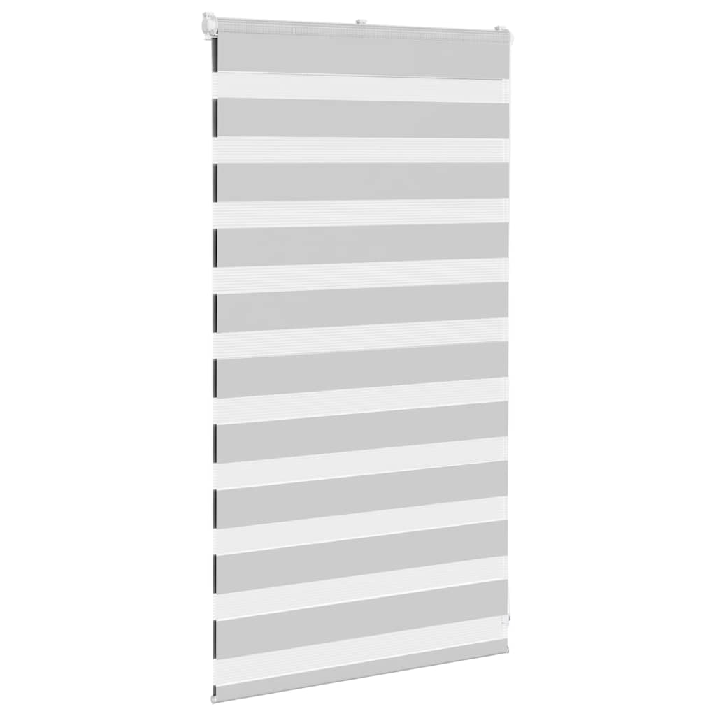 Vidaxl Zebra Rouleau aveugle 70x100 cm Largeur de poussière 65,9 cm Gris clair