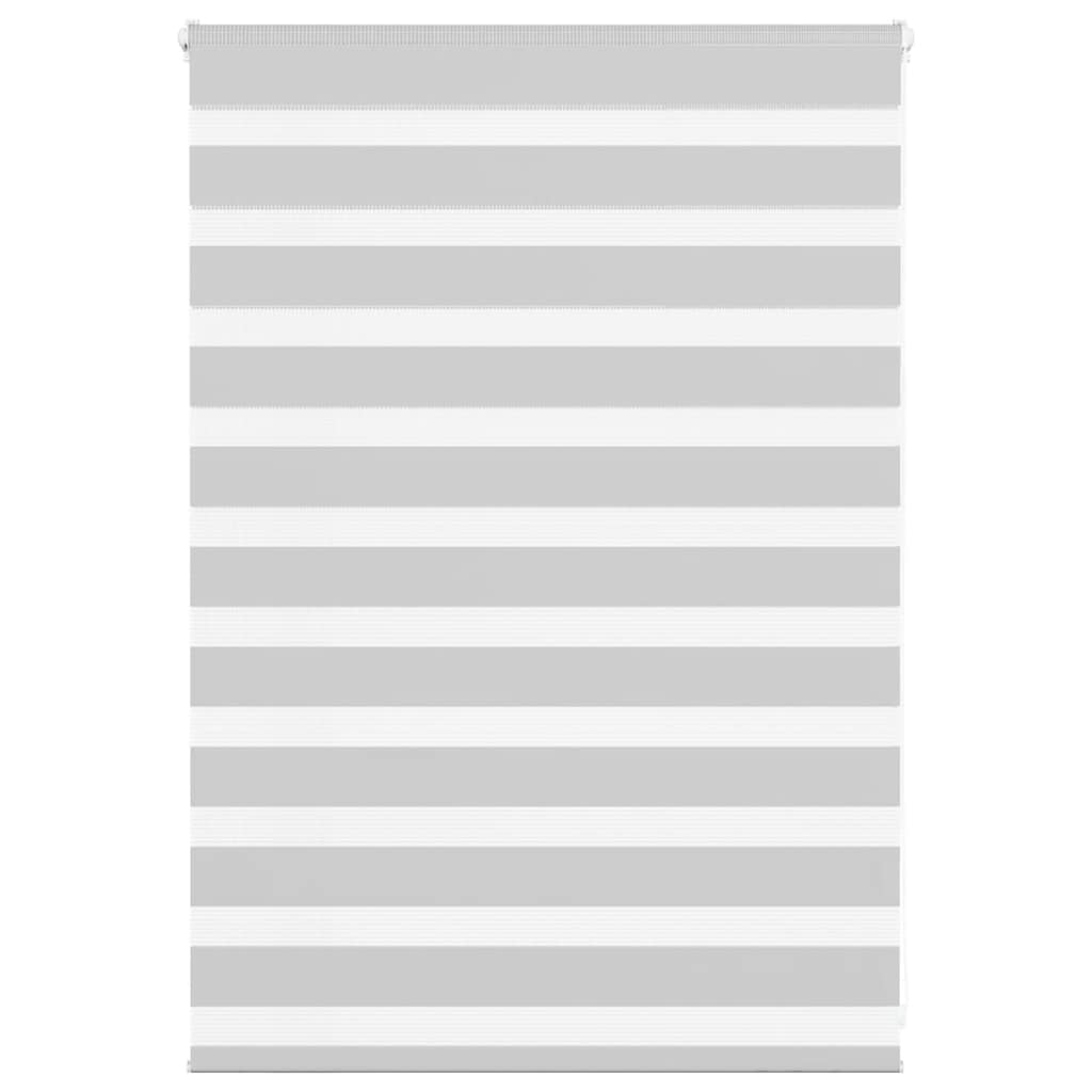 Vidaxl Zebra Rouleau aveugle 95x100 cm Largeur de tissu 90,9 cm Gris clair