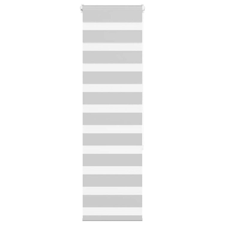 Vidaxl Zebra Rouleau aveugle 45x150 cm Largeur de poussière 40,9 cm Gris clair