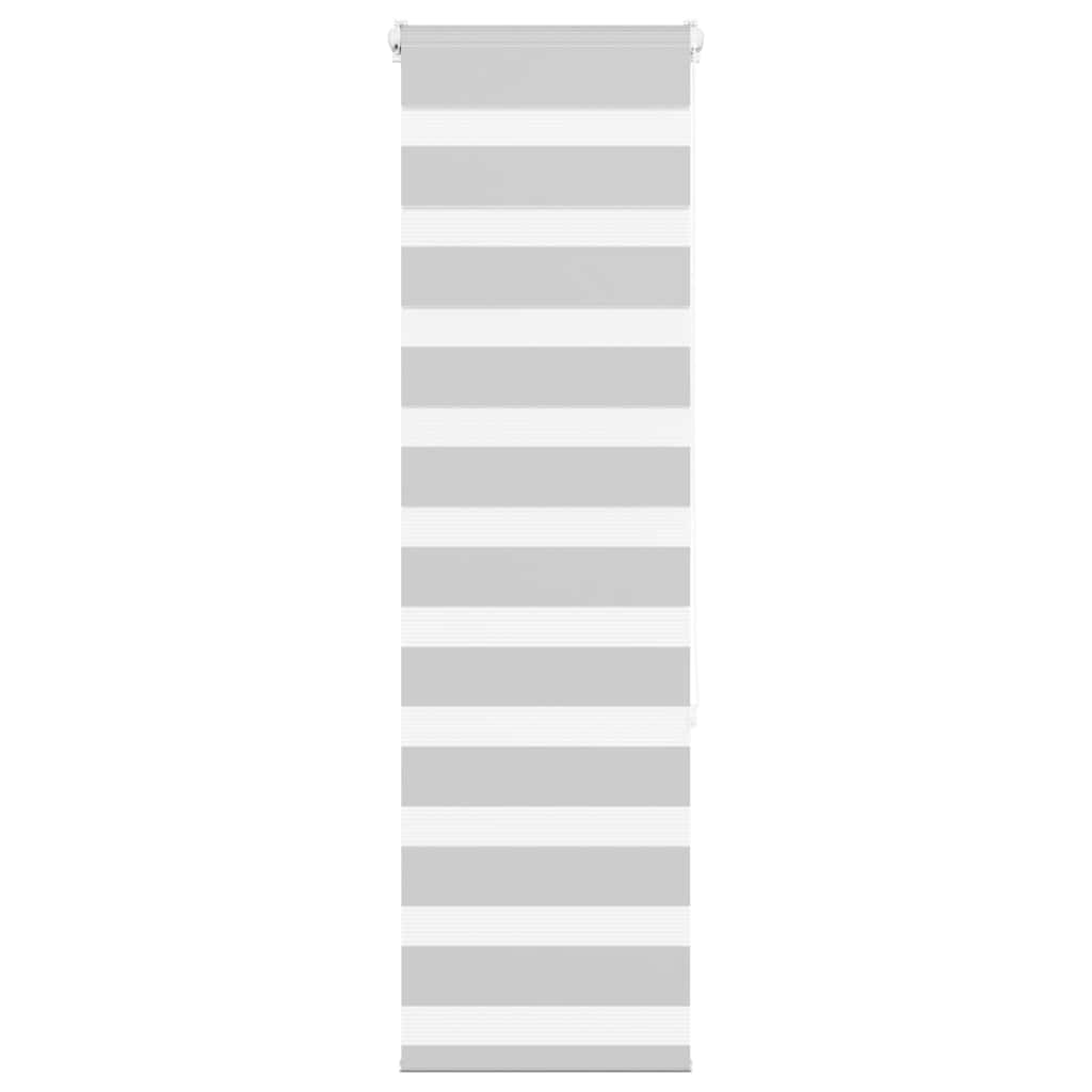 Vidaxl Zebra Rouleau aveugle 50x150 cm Largeur de tissu 45,9 cm gris clair
