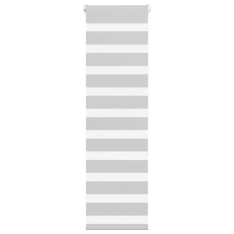 Vidaxl Zebra Rouleau aveugle 50x150 cm Largeur de tissu 45,9 cm gris clair