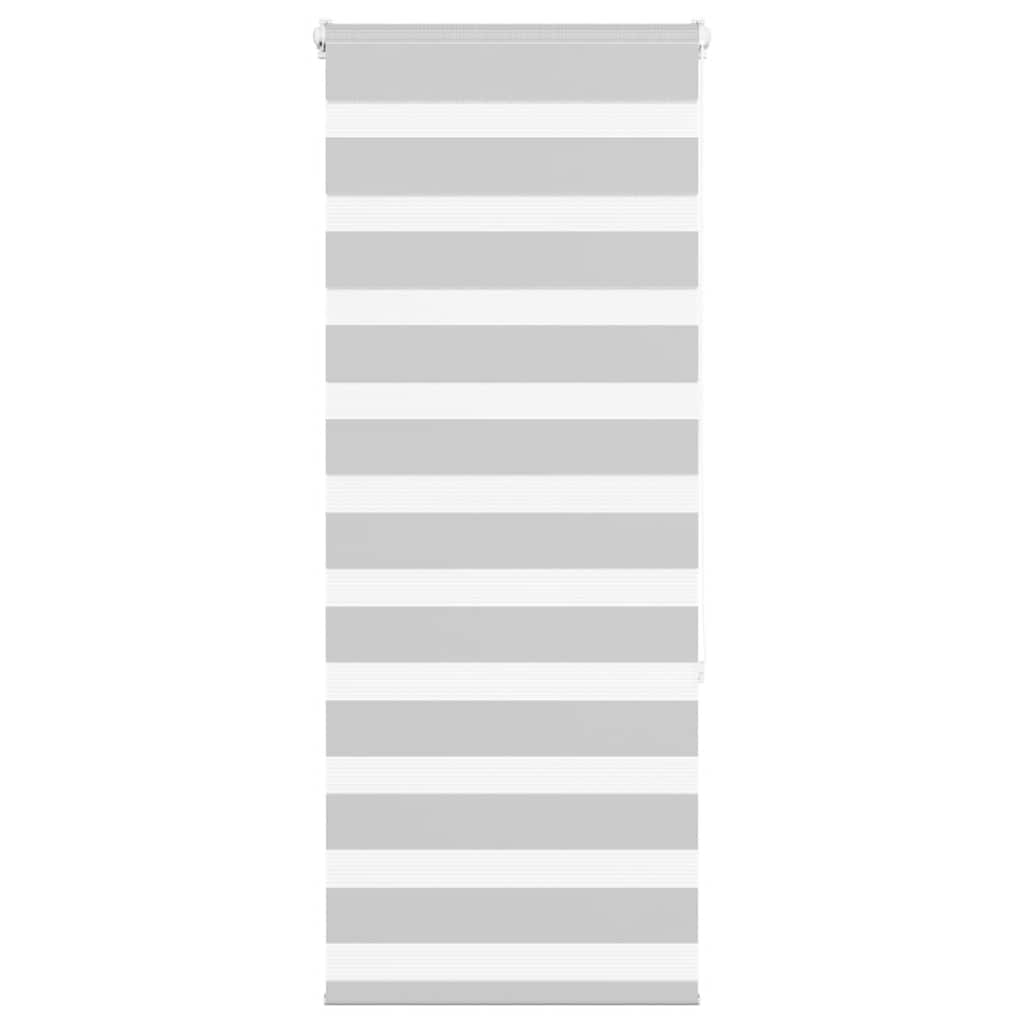 Vidaxl Zebra Rouleau aveugle 60x150 cm Largeur de poussière 55,9 cm gris clair
