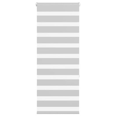 Vidaxl Zebra Rouleau aveugle 60x150 cm Largeur de poussière 55,9 cm gris clair