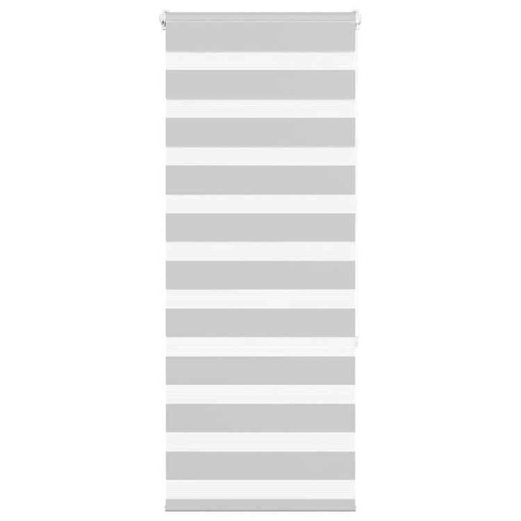 Vidaxl Zebra Rouleau aveugle 60x150 cm Largeur de poussière 55,9 cm gris clair