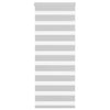Vidaxl Zebra Rouleau aveugle 65x150 cm Largeur de tissu 60,9 cm Gris clair