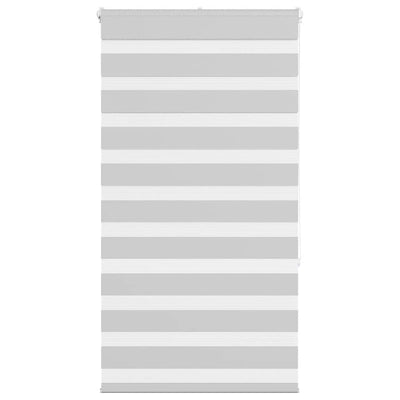 Vidaxl Zebra Rouleau aveugle 70x150 cm Largeur de poussière 65,9 cm Gris clair