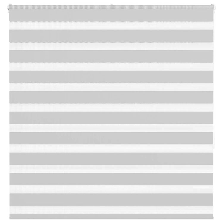 Vidaxl Zebra Rouleau aveugle 150x150 cm Largeur de poussière 145,9 cm Gris clair