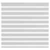Vidaxl Zebra Rouleau aveugle 160x150 cm Largeur de tissu 155,9 cm Gris clair