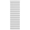 Vidaxl Zebra Rouleau aveugle 70x200 cm Largeur de poussière 65,9 cm Gris clair