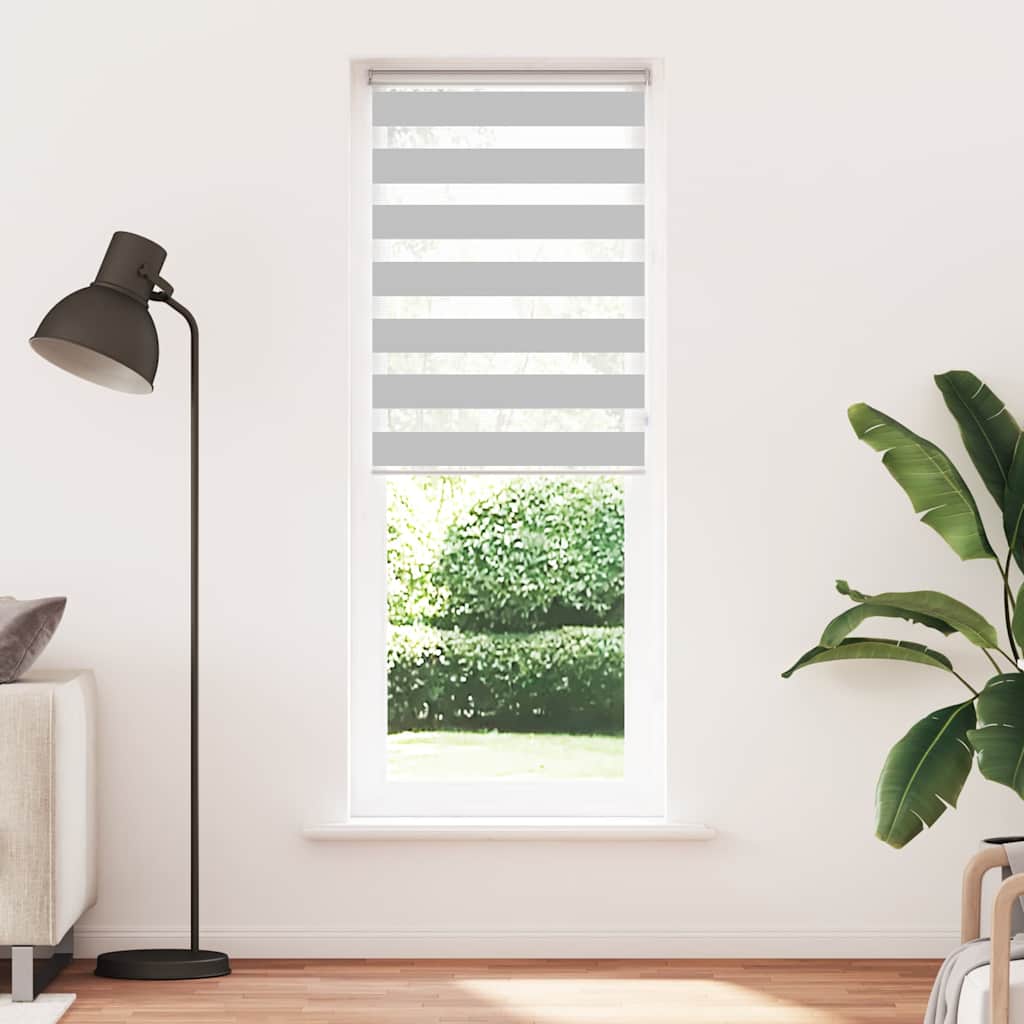 Vidaxl Zebra Rouleau aveugle 90x200 cm Largeur de poussière 85,9 cm Gris clair