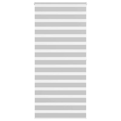 Vidaxl Zebra Rouleau aveugle 100x200 cm Largeur de poussière 95,9 cm gris clair
