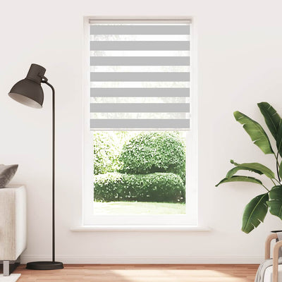 Vidaxl Zebra Rouleau aveugle 95x230 cm Largeur de tissu 90,9 cm Gris clair