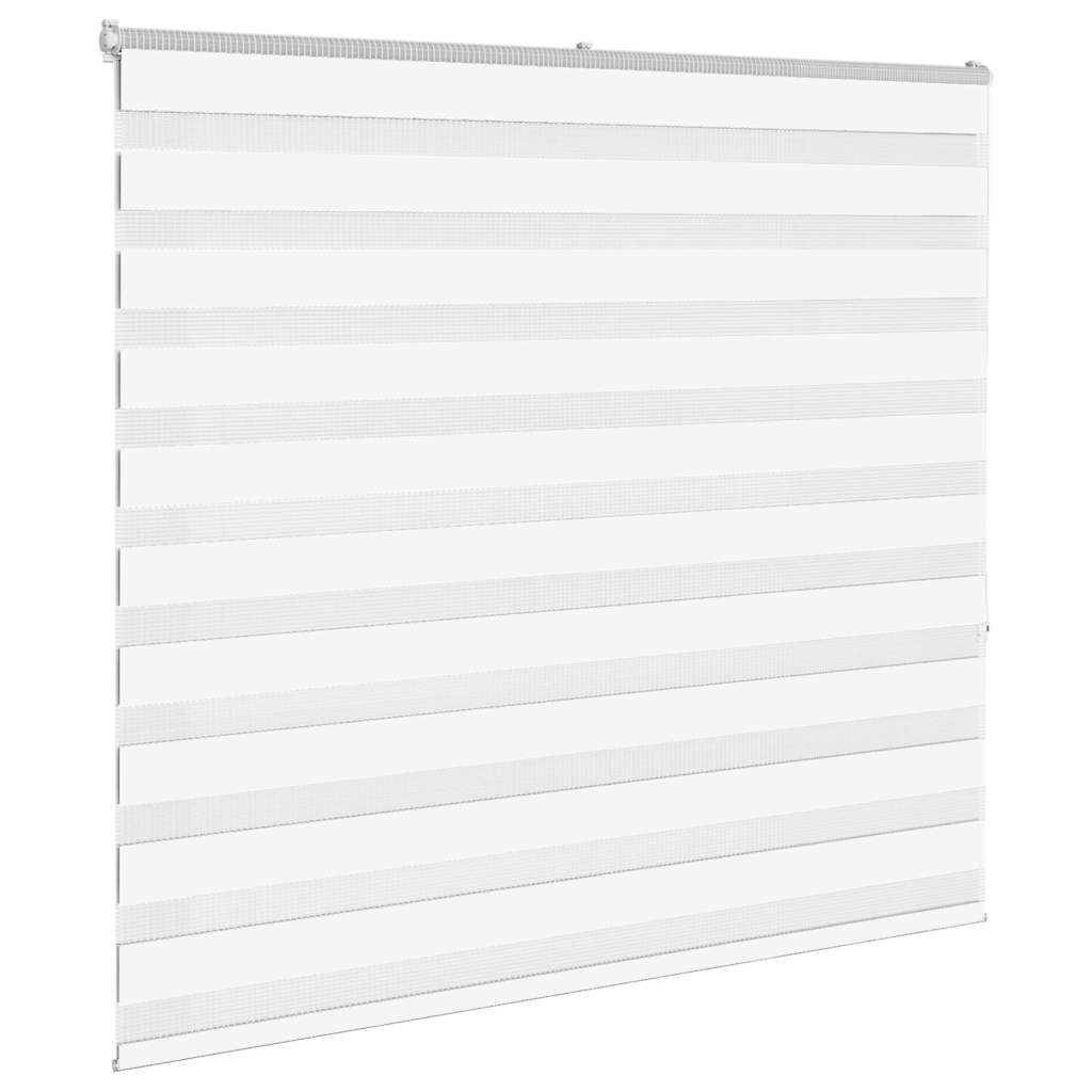 Vidaxl Zebra Rouleau aveugle 165x150 cm Largeur de poussière 160,9 cm Polyester blanc