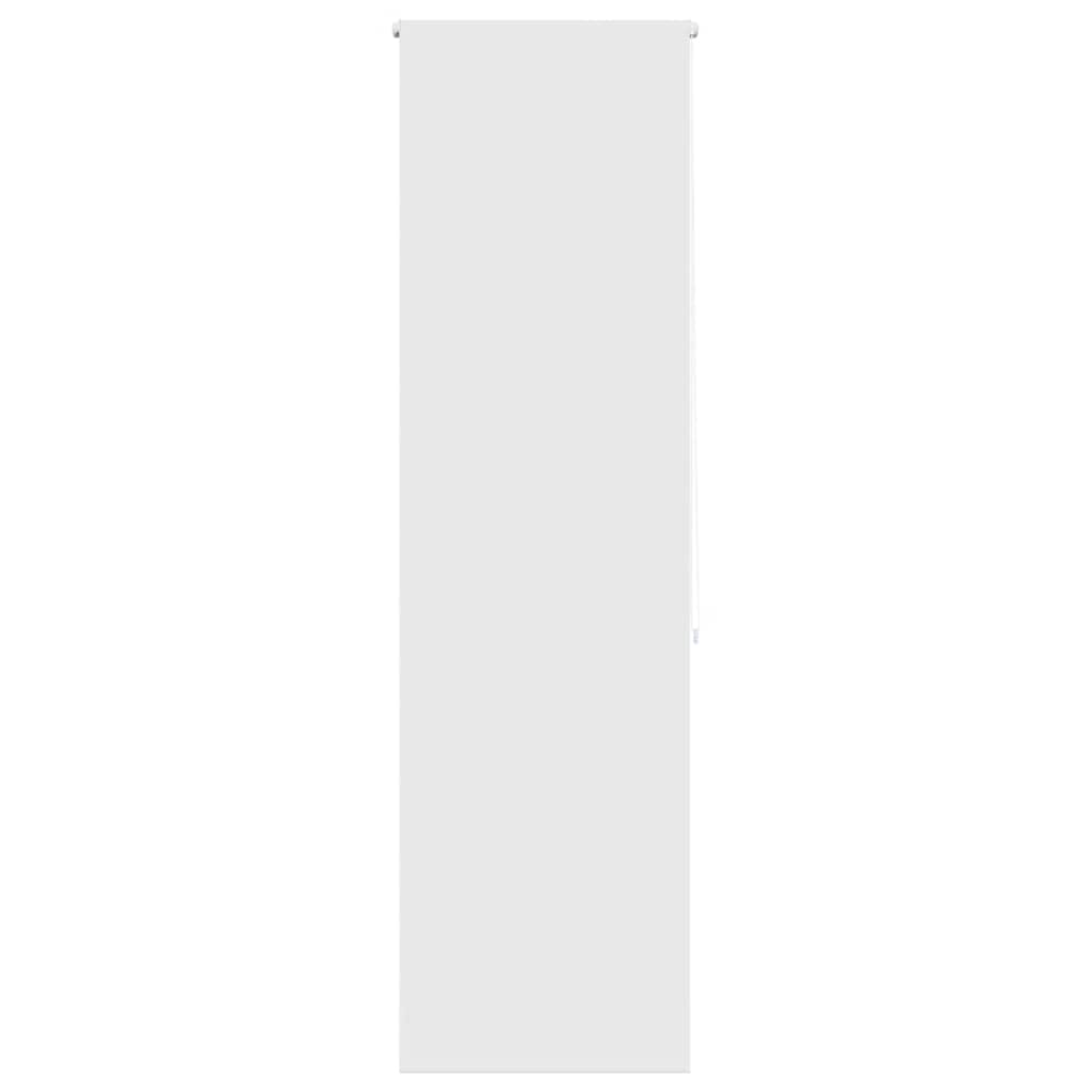 Vidaxl Douche Rouleau Rouleau 80x240 cm Largeur de poussière 76 cm