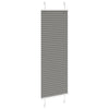 Vidaxl Bouloir plissé à l'aveugle 45x100 cm Largeur de poussière 44,4 cm anthracite