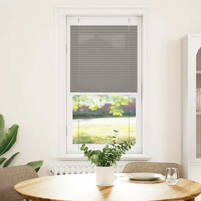 Vidaxl Pliage à rouleau à l'aveugle 60x100 cm Largeur de poussière 59,4 cm anthracite