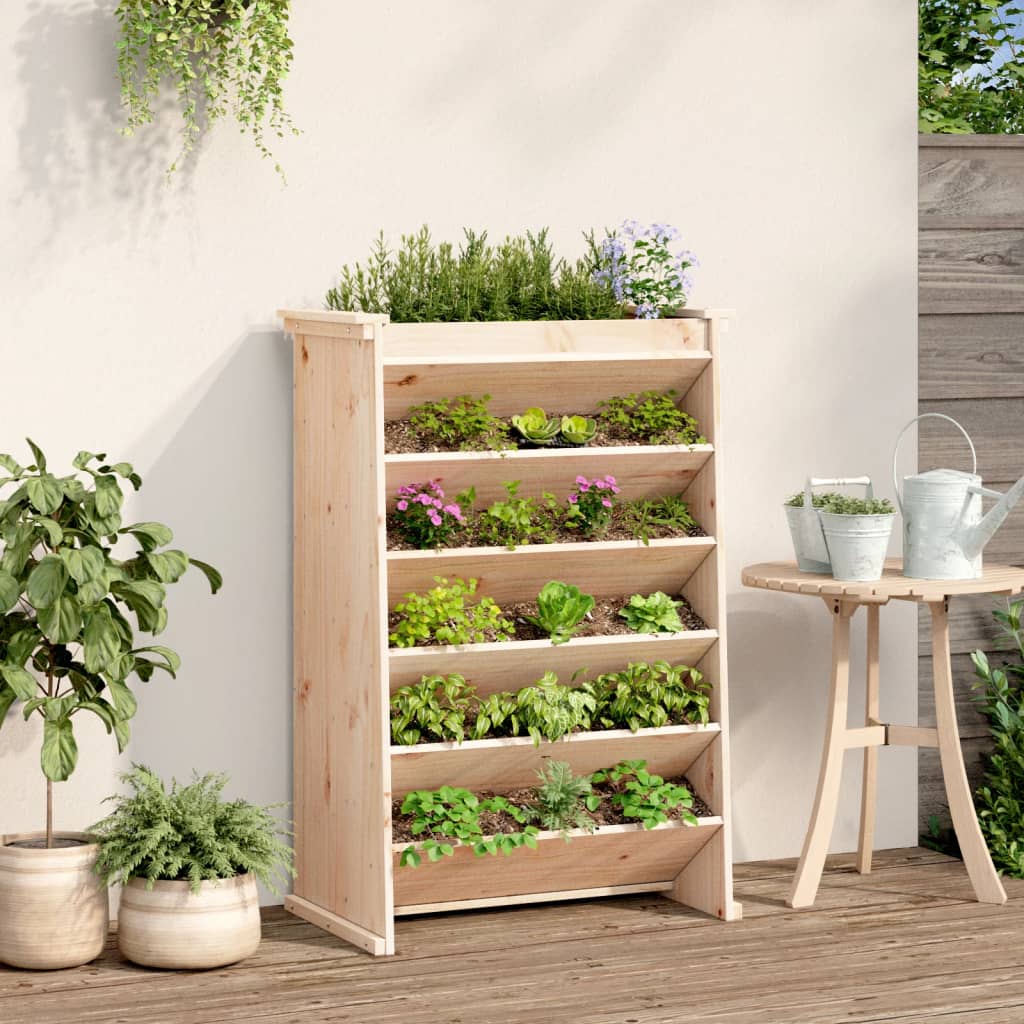 Vidaxl Herb Box 6 couches 69x40x101,5 cm Pine solide