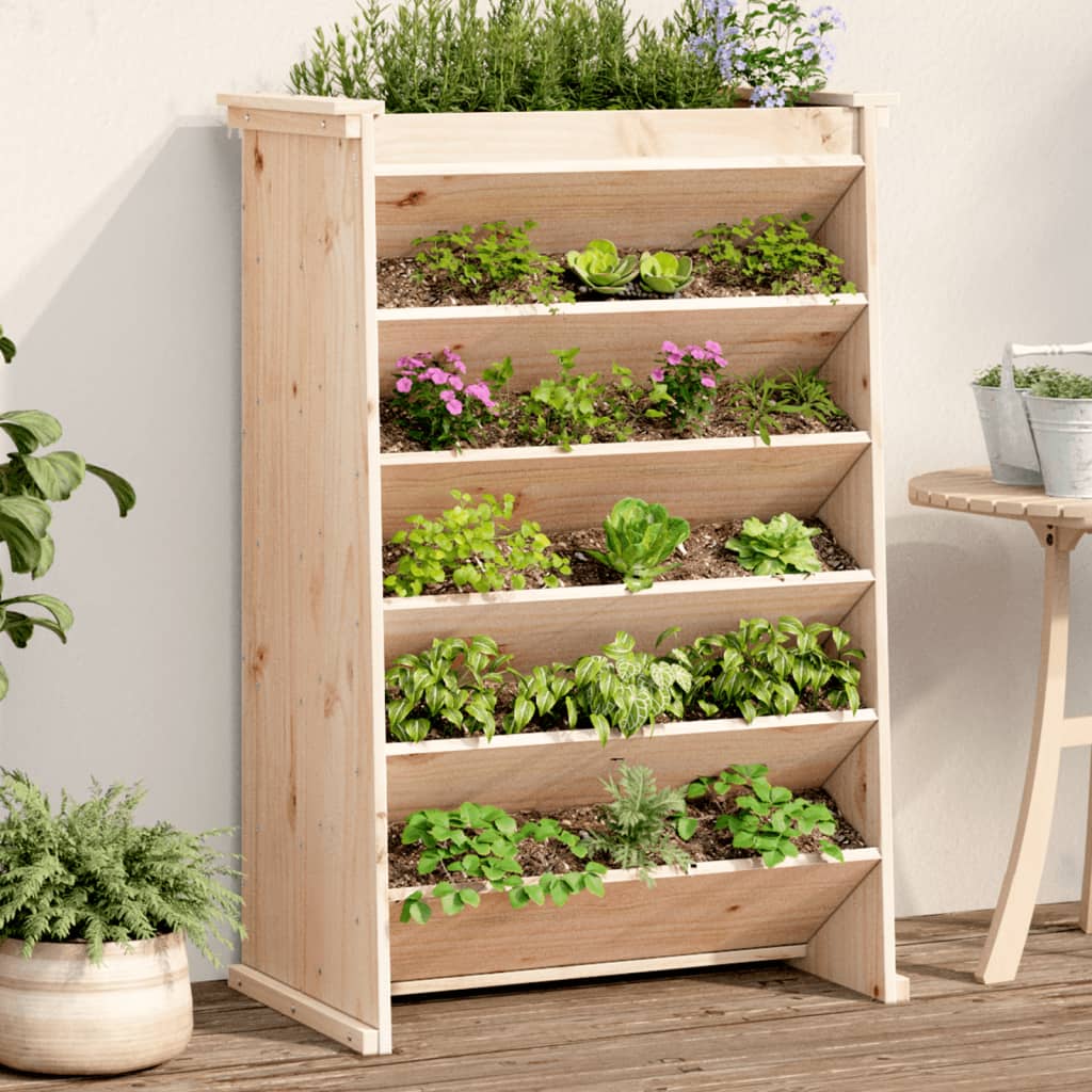 Vidaxl Herb Box 6 couches 69x40x101,5 cm Pine solide