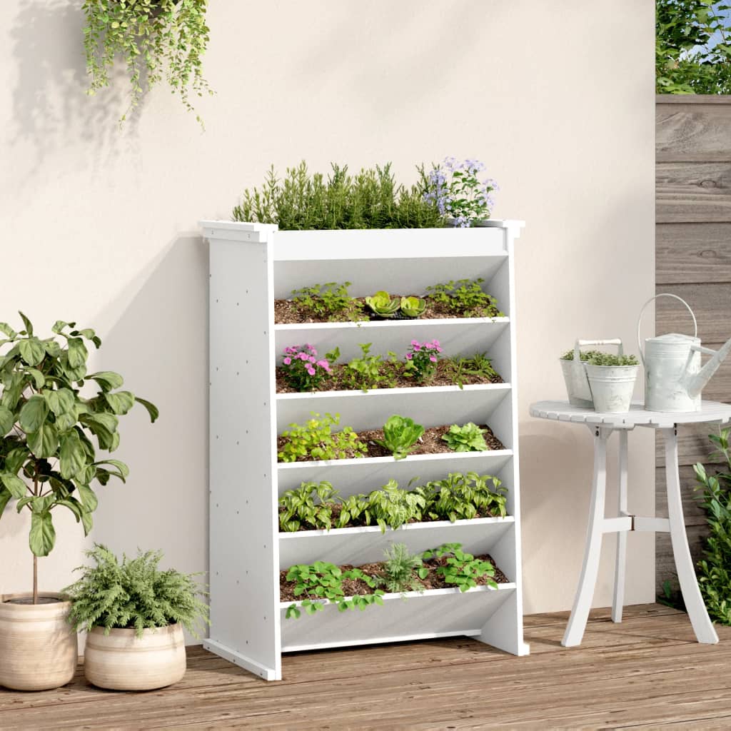 Vidaxl Herb Box 6 couches 69x40x101,5 cm Pine solide blanc