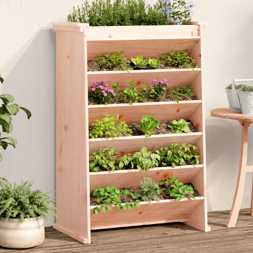 Vidaxl Herb Box 6 couches 69x40x101,5 cm Solide Douglashout