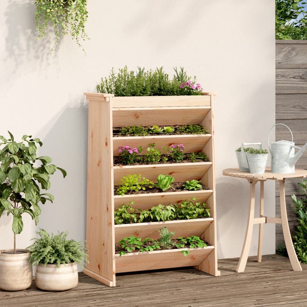 Vidaxl Herb Box 6 couches 69x40x101,5 cm Pine solide