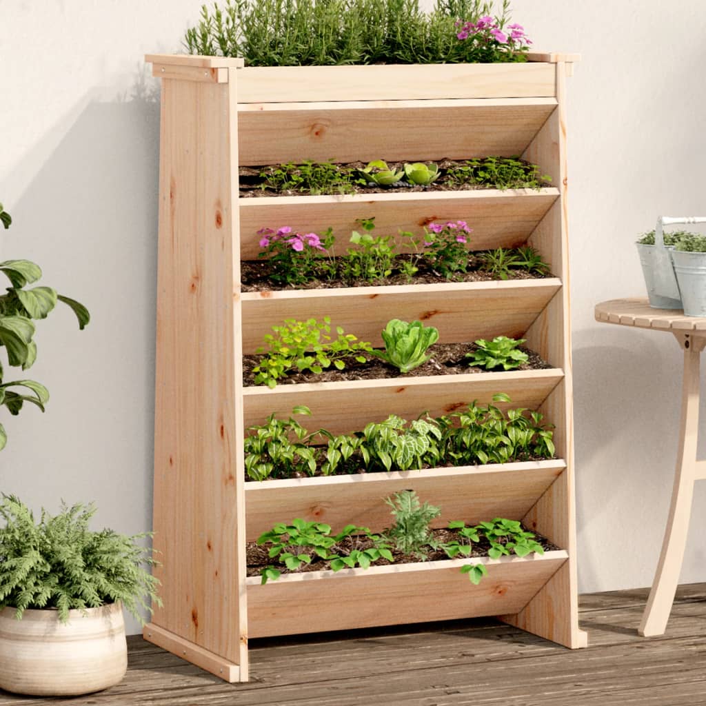 Vidaxl Herb Box 6 couches 69x40x101,5 cm Pine solide