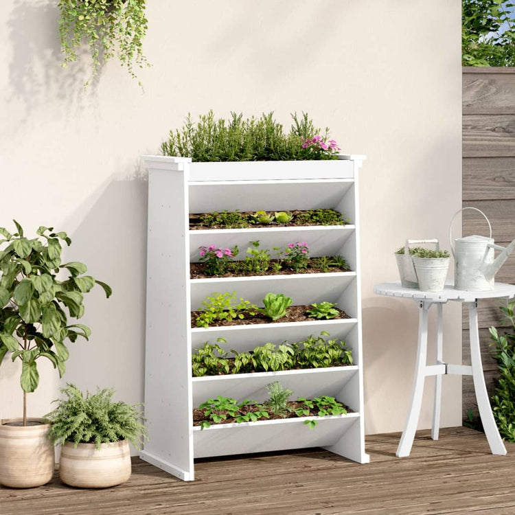 Vidaxl Herb Box 6 couches 69x40x101,5 cm Pine solide blanc