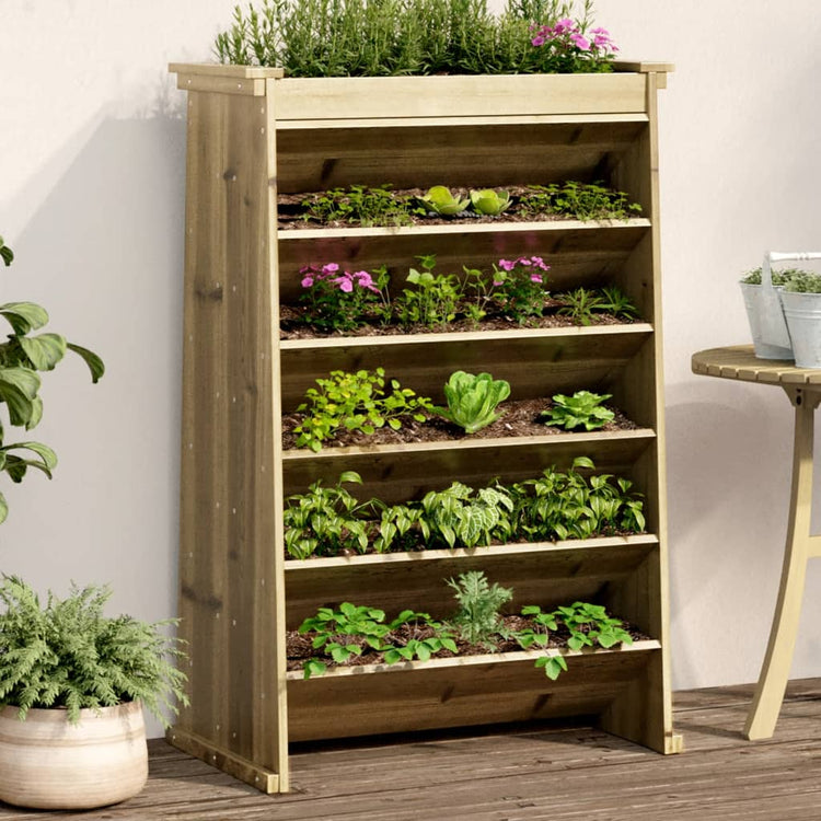 Vidaxl Herb Box 6 couches 69x40x101,5 cm Bois de pin imprégné