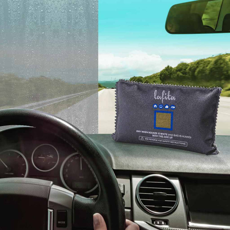 Déshumidificateurs vidaxl pour la voiture réutilisable 2 pcs 400 g